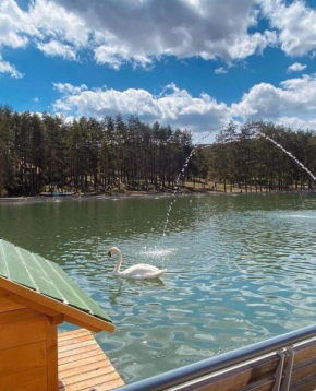 Apartmani Zlatibor Maksimovic